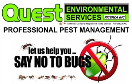 Quest Environmental Services (main)